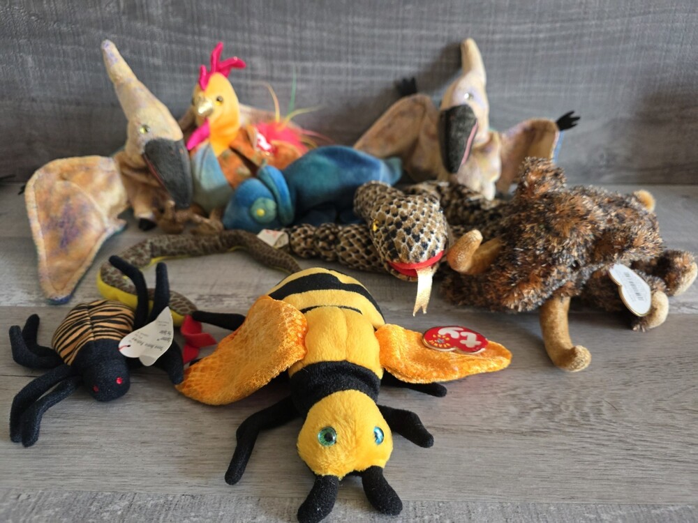Lot Of 9 Mystical And Dinosaur Beanie Babies Creepy Crawlies Stuffed Animals G31